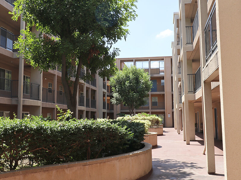Exterior View of Apartment Complex with Sidewalk and Foliage | Bella Vista