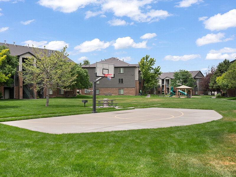 Outdoor Basketball Court with Foliage | Pleasant Springs