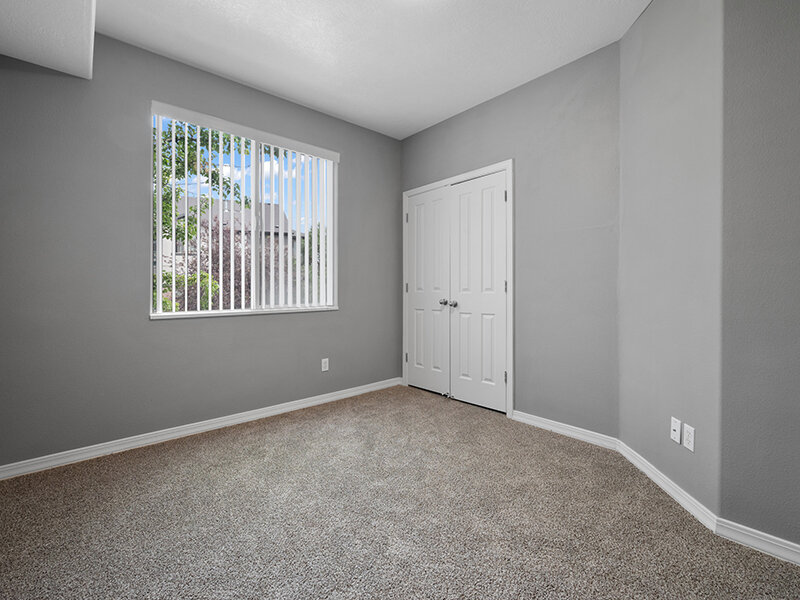 Carpeted Bedroom with Large Windows | Pleasant Springs