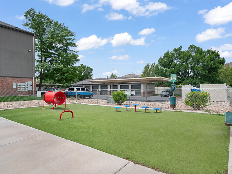 Outdoor Dog Park with Foliage | Pleasant Springs