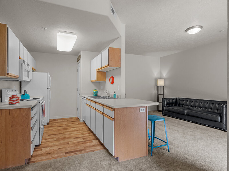Kitchen with Ceiling Light and View of Living Room | Pleasant Springs