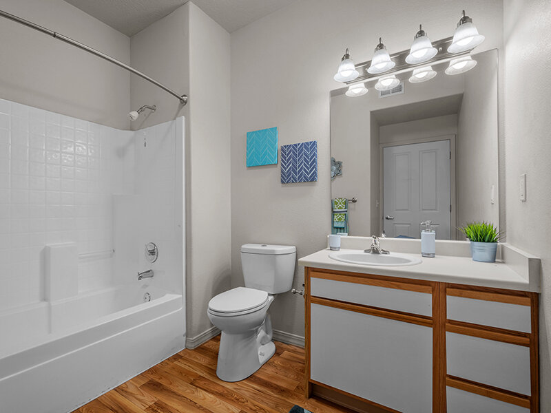 Bathroom with Mirror and Shower | Pleasant Springs