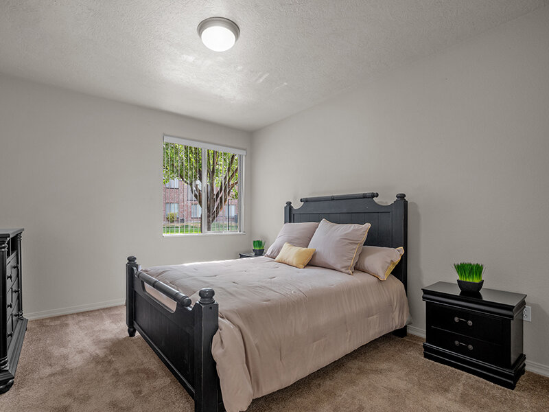 Bedroom with Ceiling Light and Window | Pleasant Springs