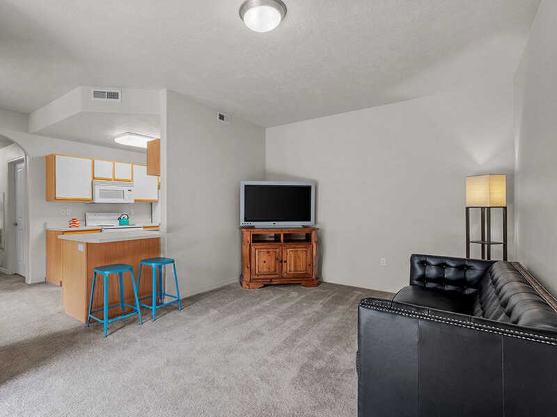 Living Room with Television and Carpeted Flooring | Pleasant Springs