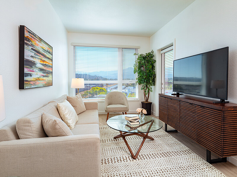 Living Room with Window and Television | View at Blossom Hill