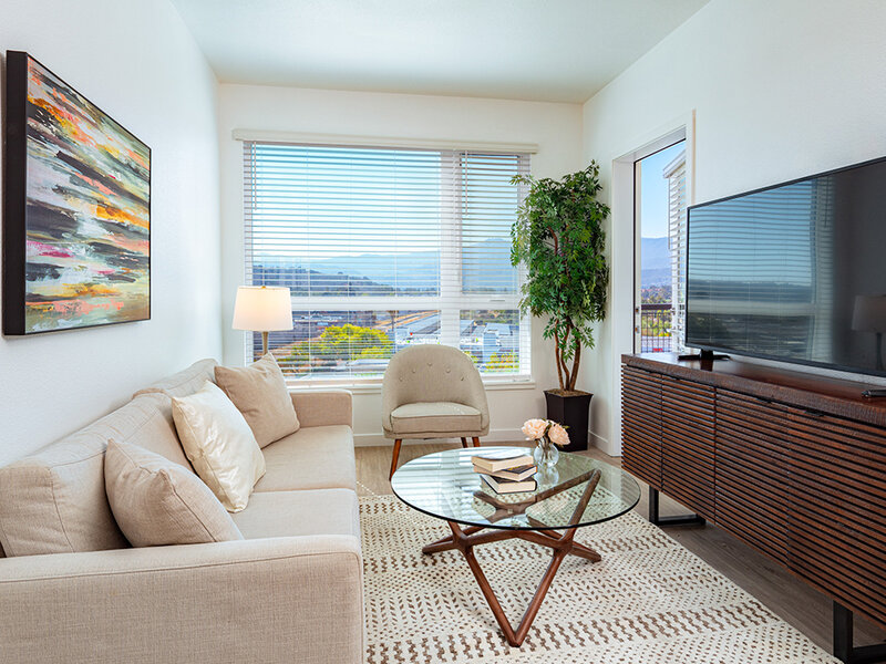View at Blossom Hill Apartments