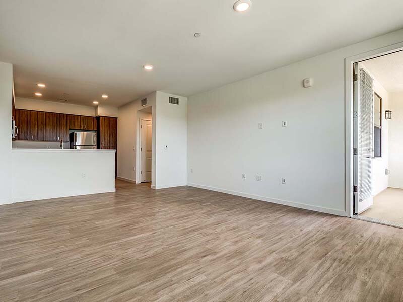 Open View of Kitchen with Ceiling Lights and Counter with Kitchen Appliances | Ageno Affordable