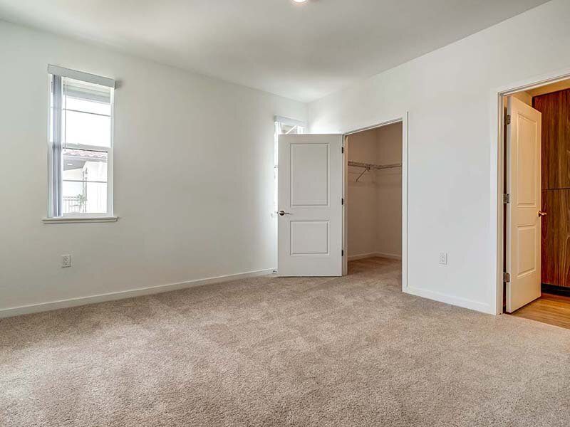 Bedroom with Open Closet and Carpeted Flooring | Ageno Affordable