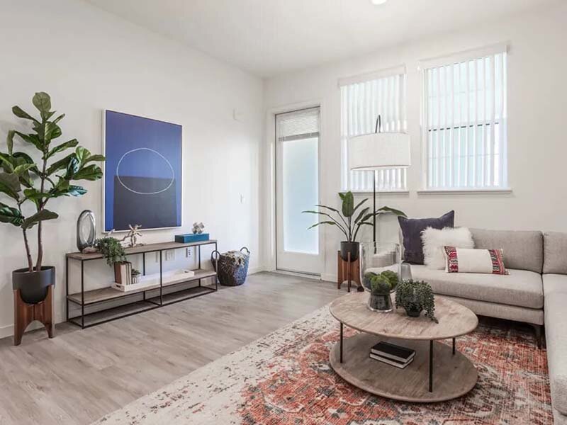 Large Seating Area with Wall Art and Sofa | Ageno Affordable