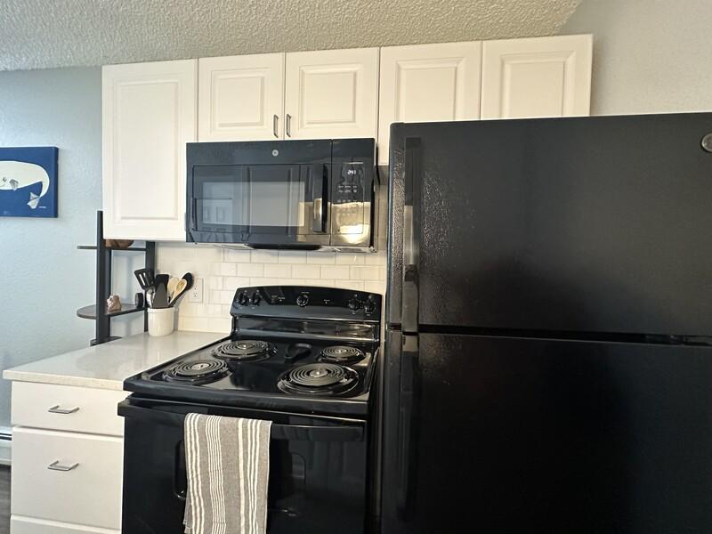 Black Kitchen Appliances | The Reserve at Water Tower Village Apartments
