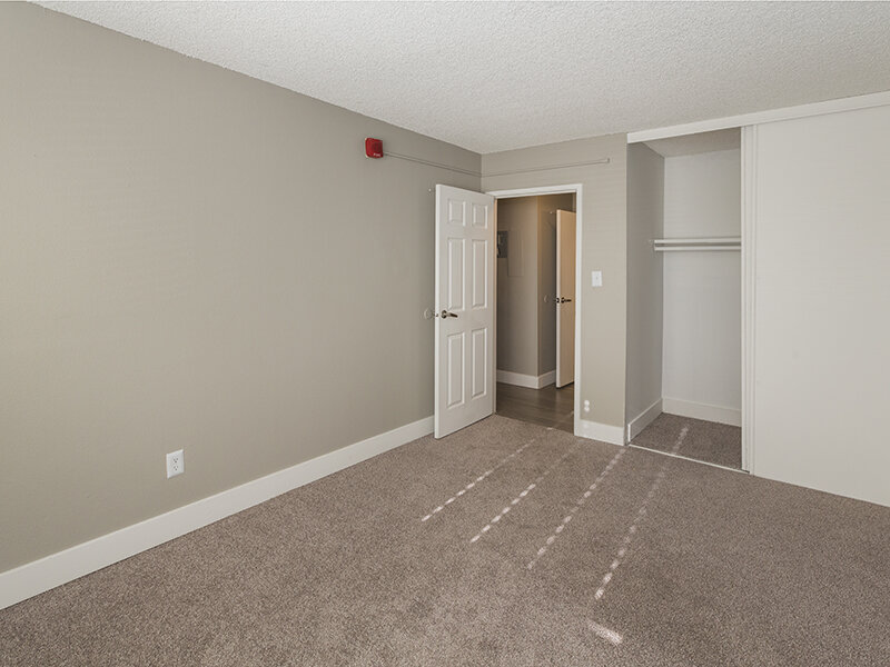 Large Bedrooms | 2 Bedroom | Odyssey Apartments