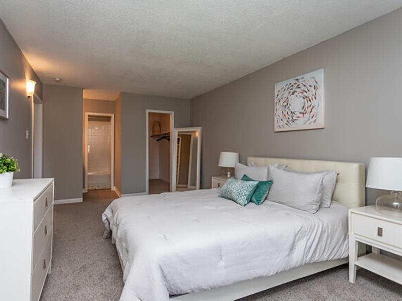 1 Bedroom Apartment | Meridian at Cherry Creek Apartments