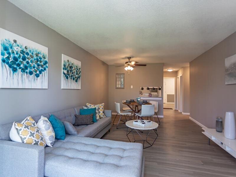 Model Living Room | Meridian at Cherry Creek