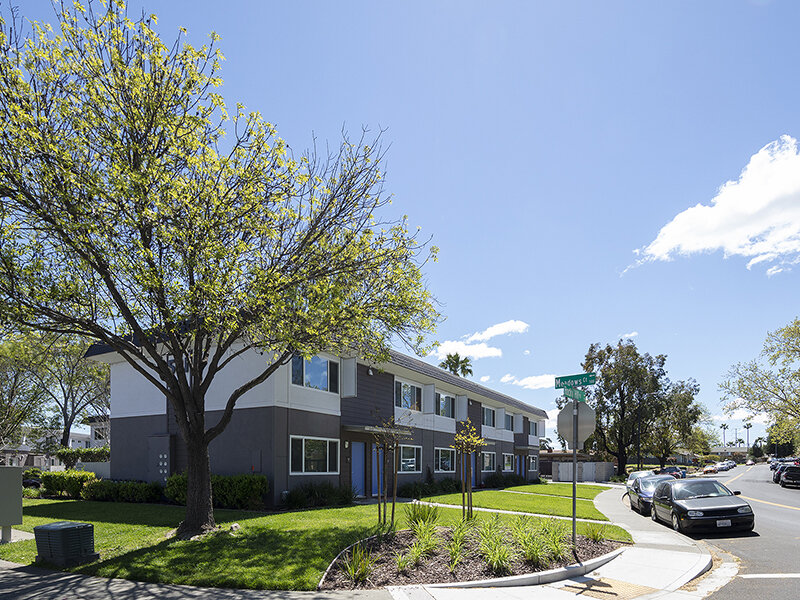 Outdoor View of Apartment Complex with Landscaping | Meadows Holly