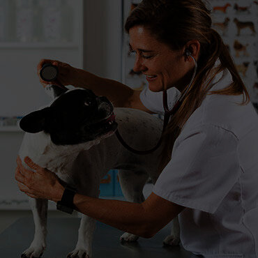 NEARBY VETERINARY HOSPITALS