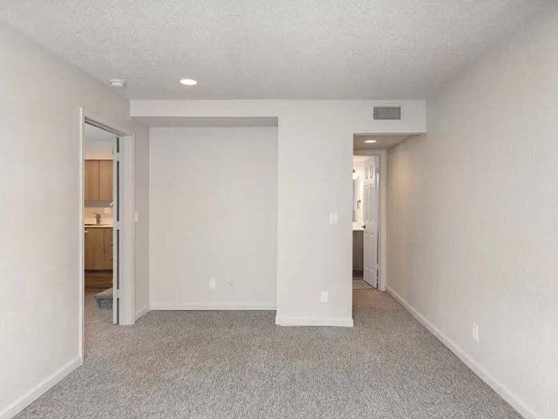 Apartment Area with Carpeted Flooring and Ceiling Light | Avia at 110th St