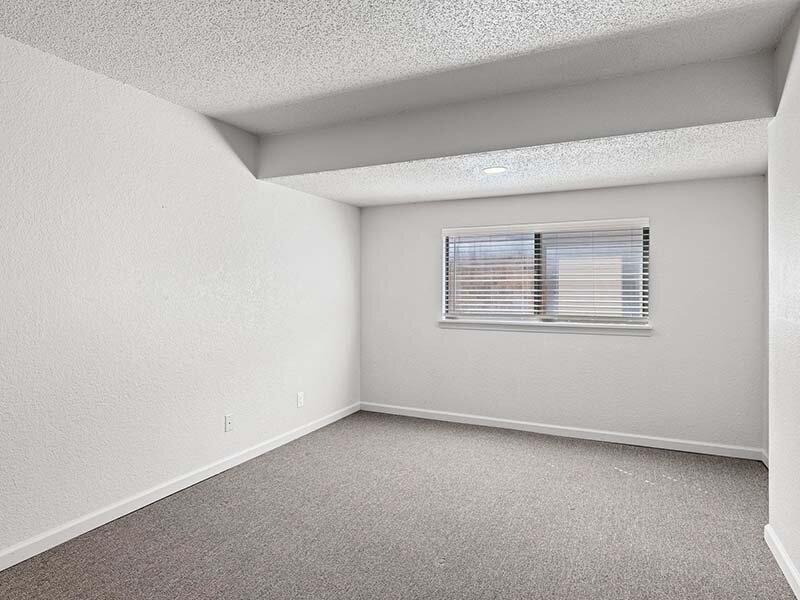 Apartment Interior Space with Window and Carpeted Flooring | Avia at 110th St