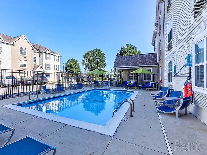 Community Swimming Pool with Lounge Seating | Avia Lofts at North Shore