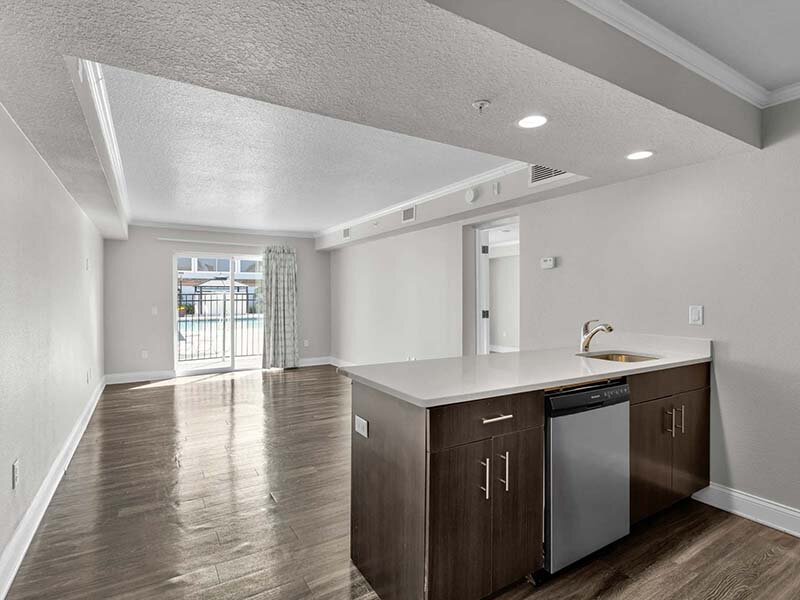 Kitchen Sink with View of Apartment Entrance on Wood Style Flooring | Avia at Reedy Creek