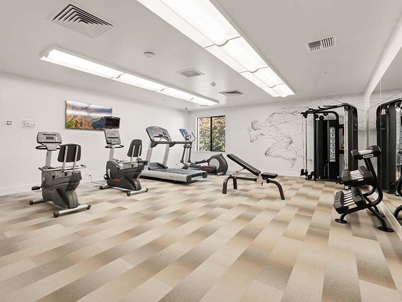 Community Exercise Area with Ceiling Lights and Weights | Avia Lofts on Parkway