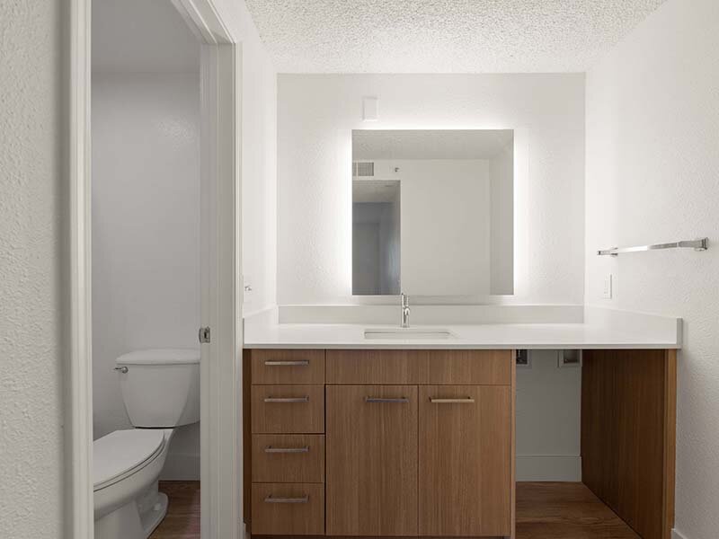 Bathroom with Mirror and Wood Styled Cabinets | Avia Lofts on Parkway