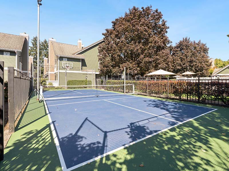 Exterior Sports Court with Views of Apartment Complex | Avia Lofts on Parkway