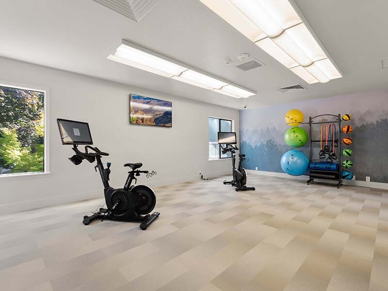 Community Fitness Center with Exercise Equipment | Avia Lofts on Parkway