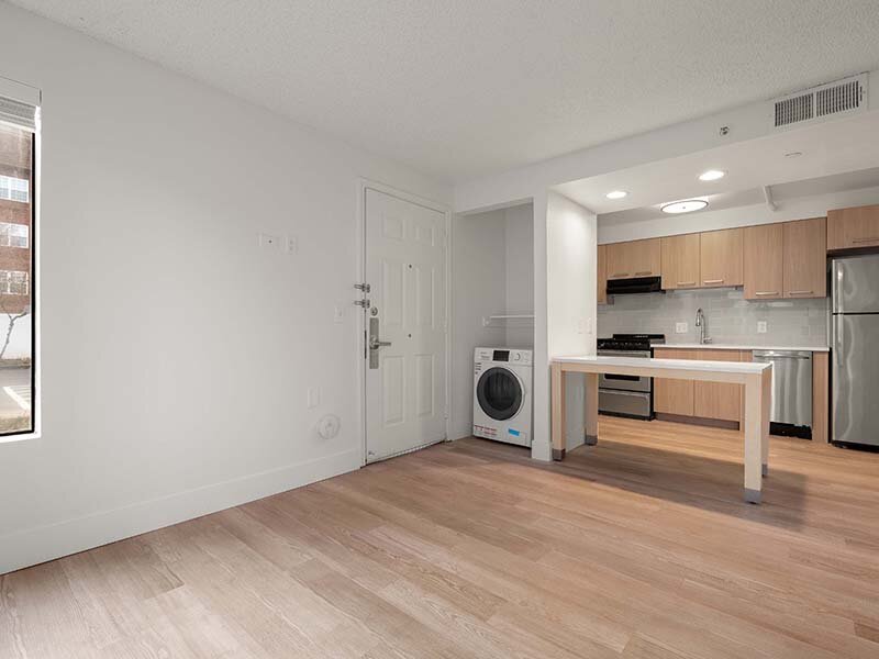 Apartment Kitchen with Views of Laundry | Avia Lofts on Parkway