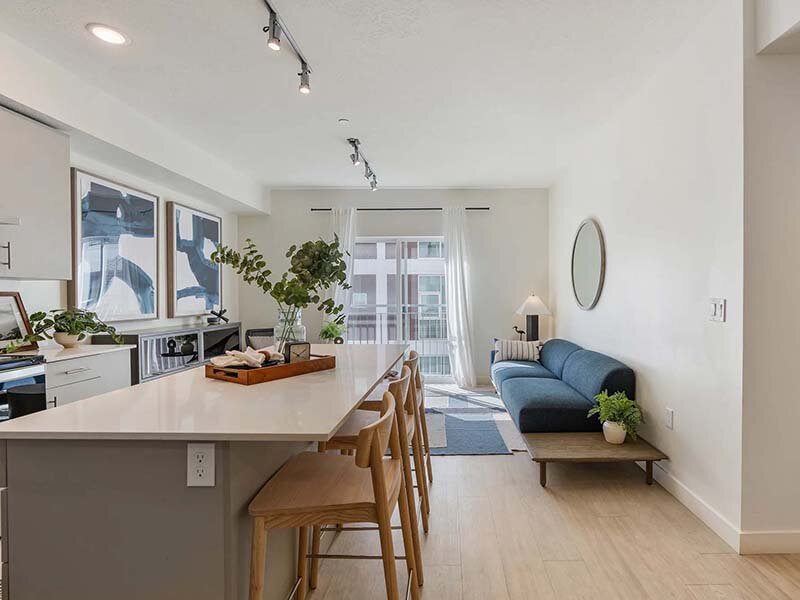 Kitchen & Living Room | Paperbox Lofts