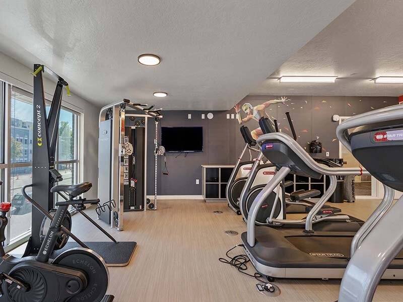 Cardio Equipment | Paperbox Lofts