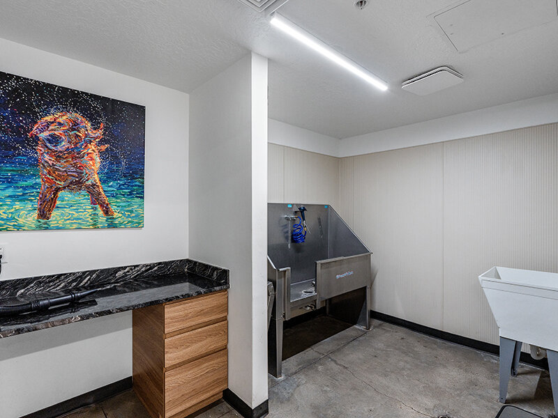 Pet Wash Station | Flats at Riverwoods