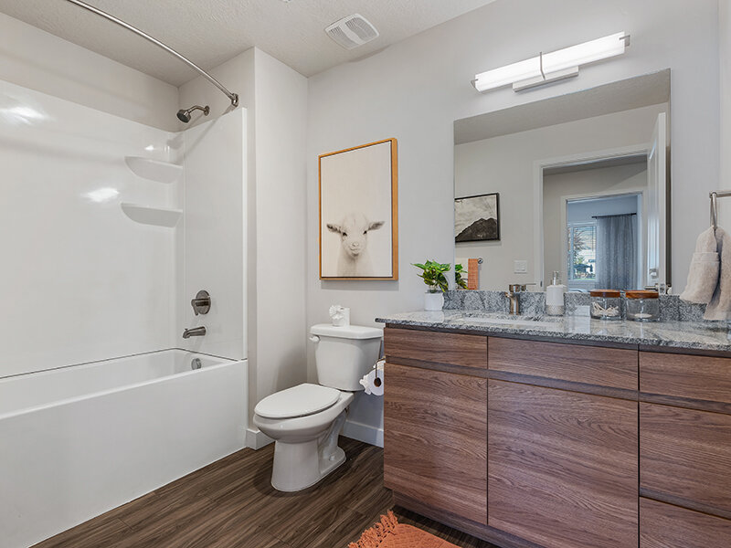 Bathroom | Flats at Riverwoods
