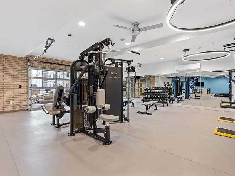 Gym | The Revival