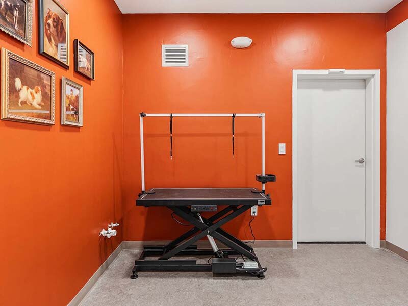 Pet Grooming Room | The Revival