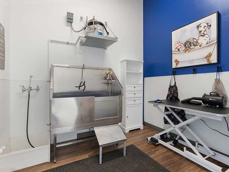 Community Pet Wash on Wood Style Flooring | City View St. George