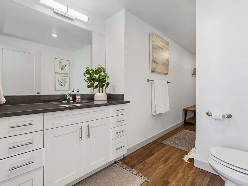 Bathroom with Plant and Wood Style Flooring | City View St. George