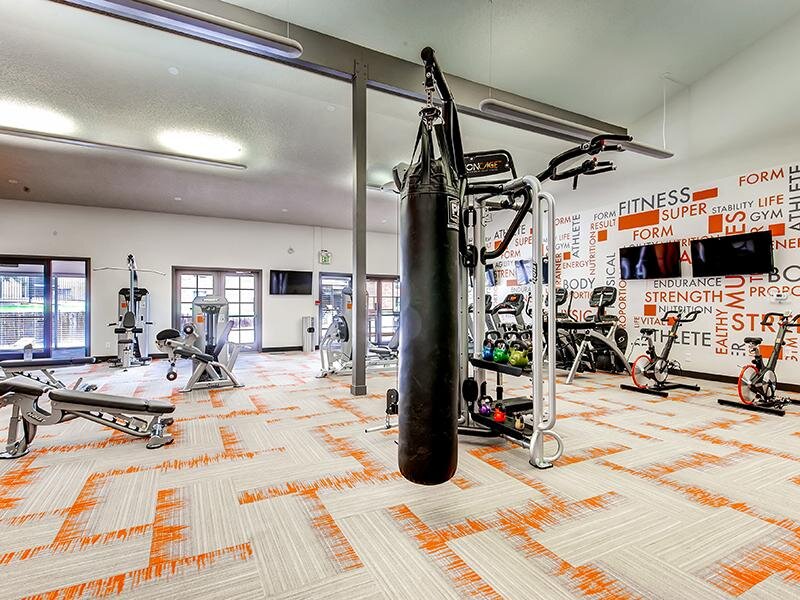 Resdient Gym | 3300 Tamarac Apartments in Denver CO