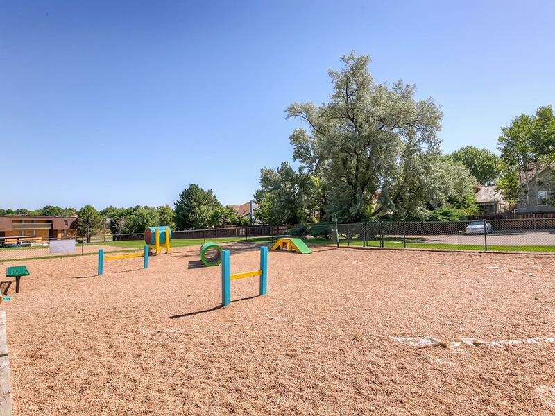 Pet Park | 3300 Tamarac Apartments For Rent In Denver CO