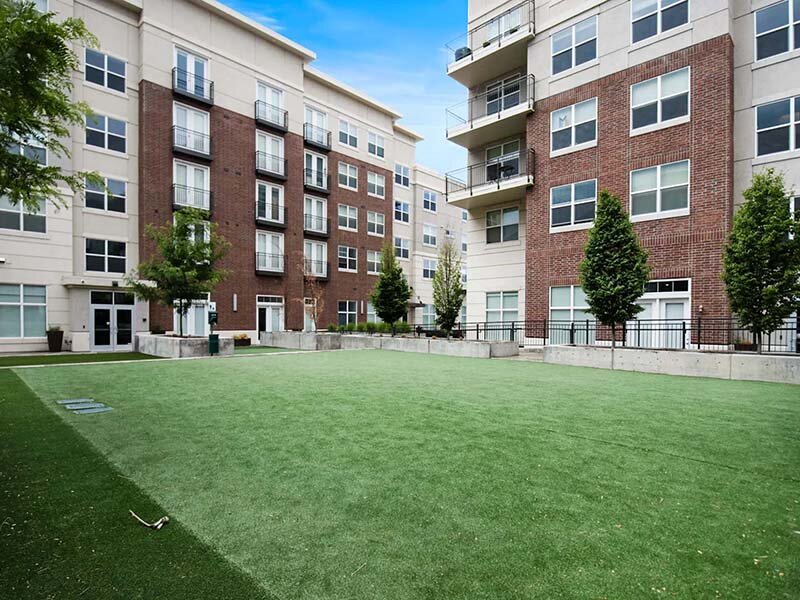 Exterior Apartment Building Views with Foliage | 200 City View