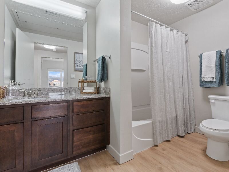 Vanity and Shower | Wilmington Flats