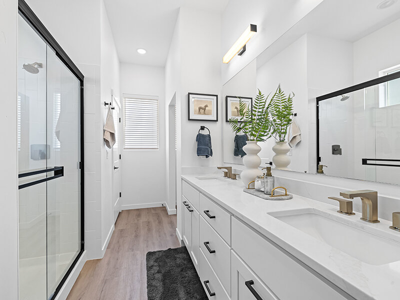 Double Vanity Sinks | Alante Spring Run