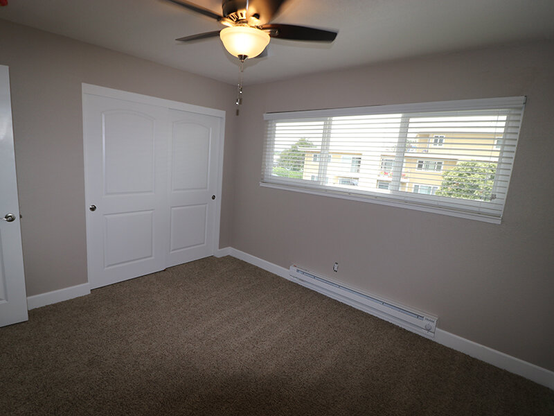Bedroom with Windows and Carpeted Floors | Pentagon
