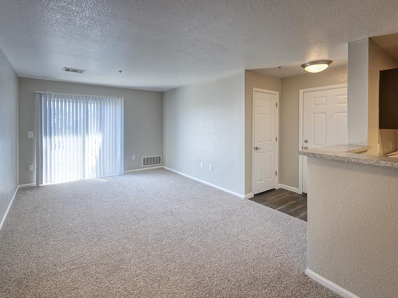 Living Room | Echo Ridge at North Hills Apartments in Northglenn, CO