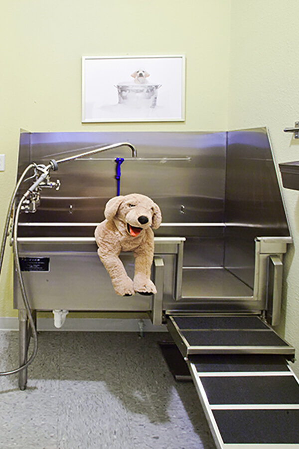 Pet Wash Station | Arabella