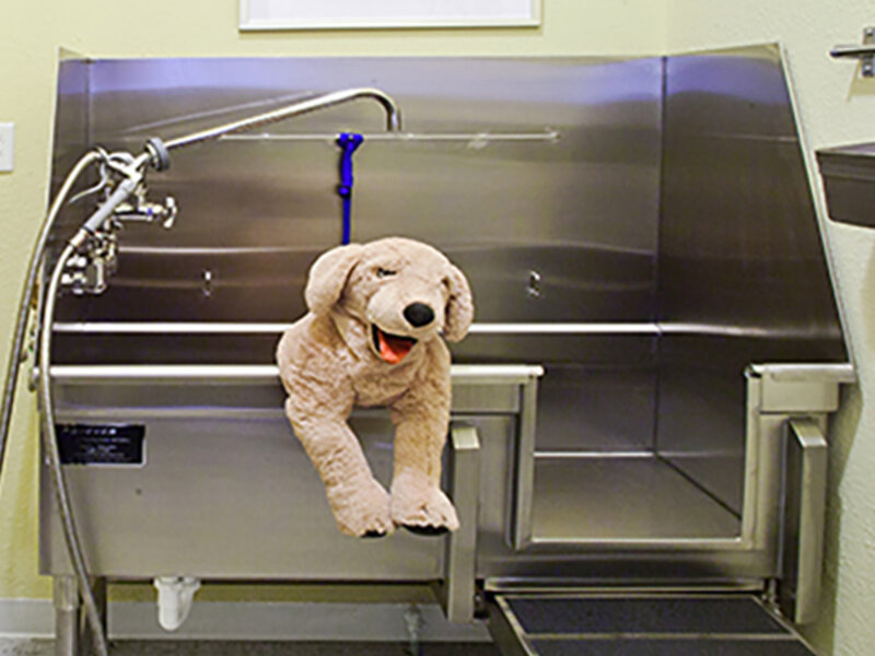 Pet Wash Station | Arabella
