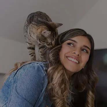 Great Place for Cats