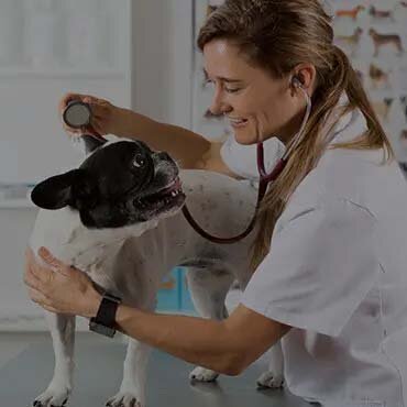 Nearby Veterinary Hospitals