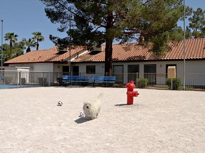 Bark Park