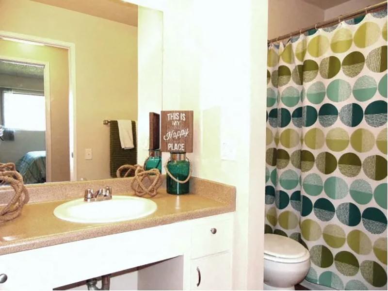 1 BR Apartments in Davis CA - J Street - Conventional Bathroom with a Mirrored Vanity