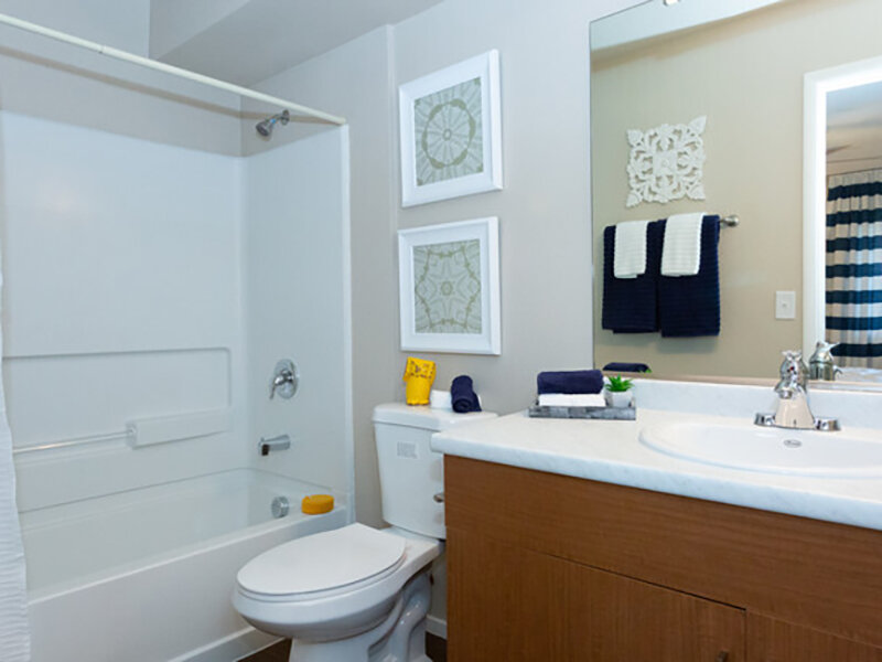 Spacious Bathroom | Sunrise at Tropicana in Las Vegas, NV